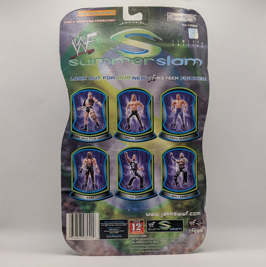 2001 WWF Jakks Pacific Titantron Live SummerSlam Steve Austin