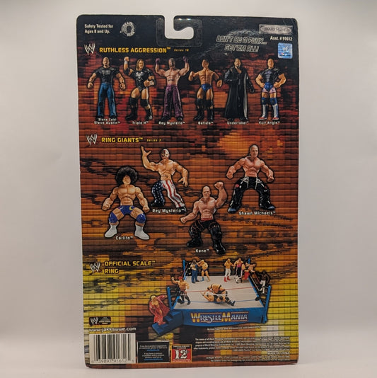 2005 WWE Jakks Pacific Ruthless Aggression Series 16.5 "Ring Rage" Chris Jericho