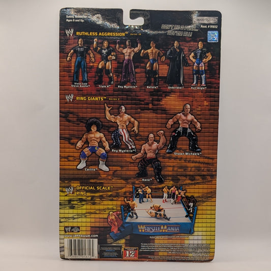 2005 WWE Jakks Pacific Ruthless Aggression Series 16.5 "Ring Rage" Undertaker