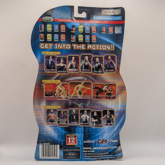 2001 WWF Jakks Pacific Titantron Live Rebellion Series 3 Jeff Hardy