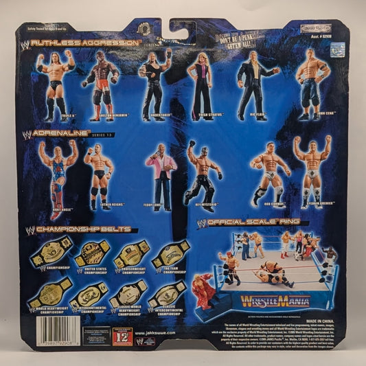 2005 WWE Jakks Pacific Adrenaline Series 13 Teddy Long & Rey Mysterio