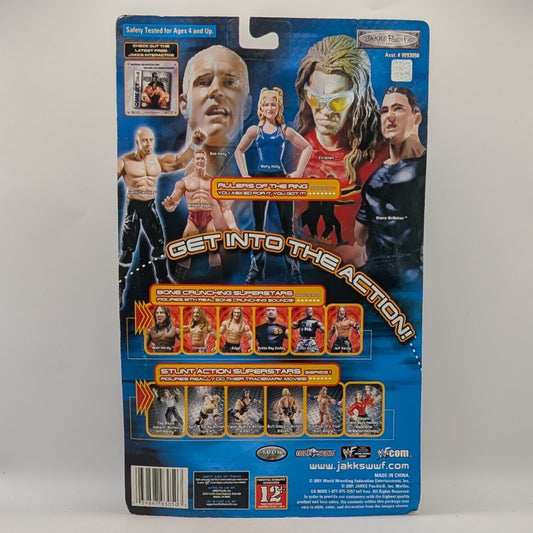 2001 WWF Jakks Pacific Titantron Live Rulers of the Ring Series 4 Shane McMahon