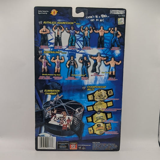2004 WWE Jakks Pacific Ruthless Aggression Off the Ropes Series 7 Rob Van Dam
