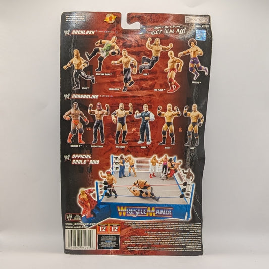 2006 WWE Jakks Pacific Ruthless Aggression Pay Per View Series 13 "Backlash" Rob Van Dam