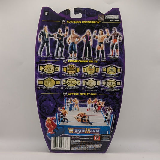 2005 WWE Jakks Pacific Ruthless Aggression Series 14 Undertaker