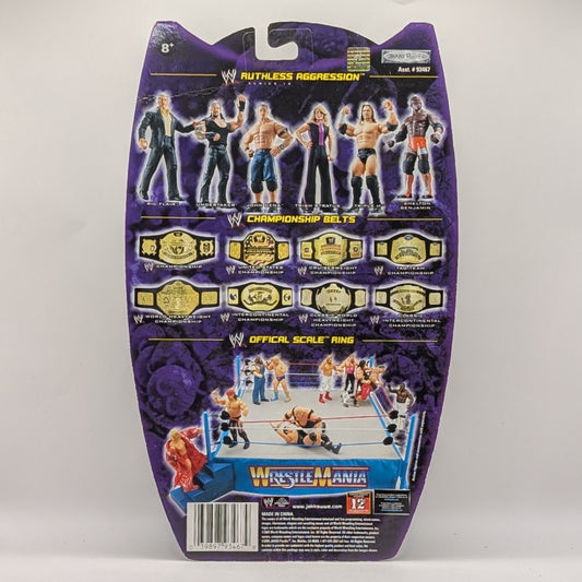 2005 WWE Jakks Pacific Ruthless Aggression Series 14 Ric Flair