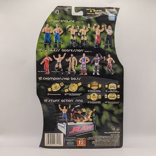 2004 WWE Jakks Pacific Ruthless Aggression Pay Per View Series 7 "SummerSlam" Undertaker