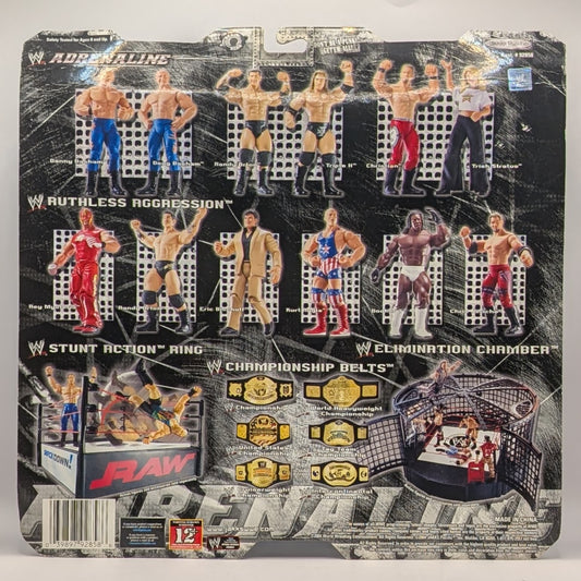 2004 WWE Jakks Pacific Adrenaline Series 10 Danny Basham & Doug Basham