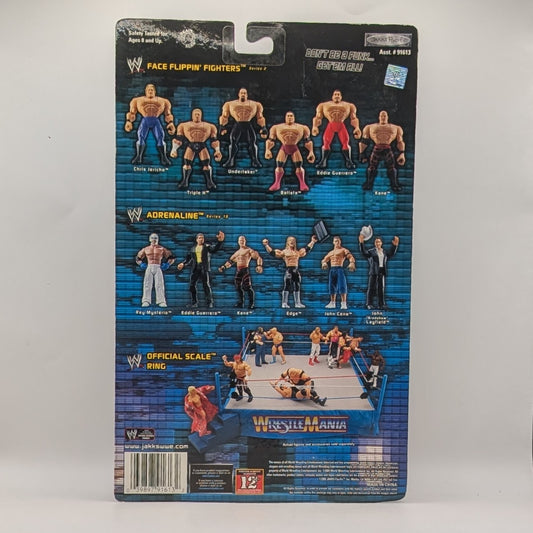 2005 WWE Jakks Pacific Ruthless Aggression Series 17.5 "Ring Rage" Hurricane Helms