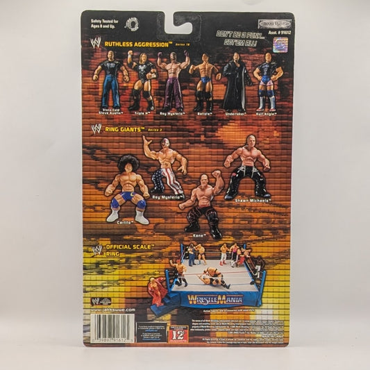 2005 WWE Jakks Pacific Ruthless Aggression Series 16.5 "Ring Rage" Rob Van Dam
