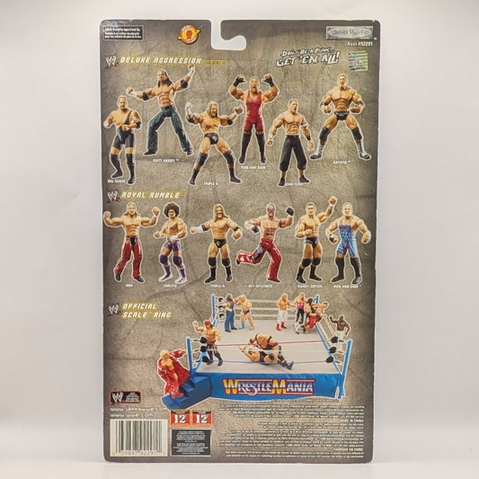 2006 WWE Jakks Pacific Ruthless Aggression Royal Rumble Rob Van Dam