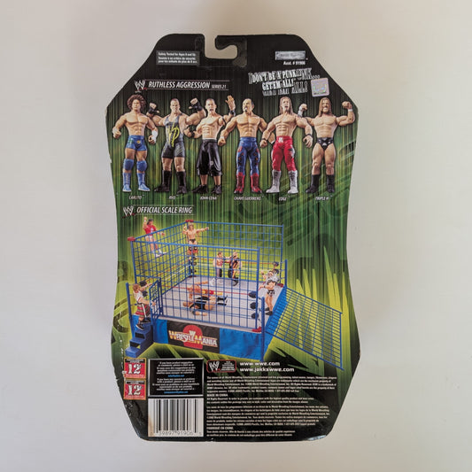 2006 WWE Jakks Pacific Ruthless Aggression Series 21 Triple H