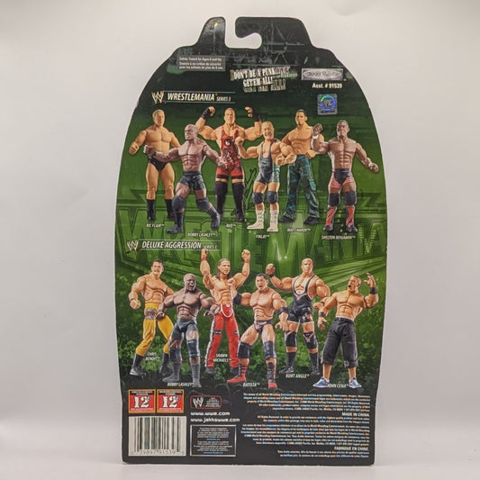 2006 WWE Jakks Pacific Ruthless Aggression Road to WrestleMania 22 Series 3 Matt Hardy