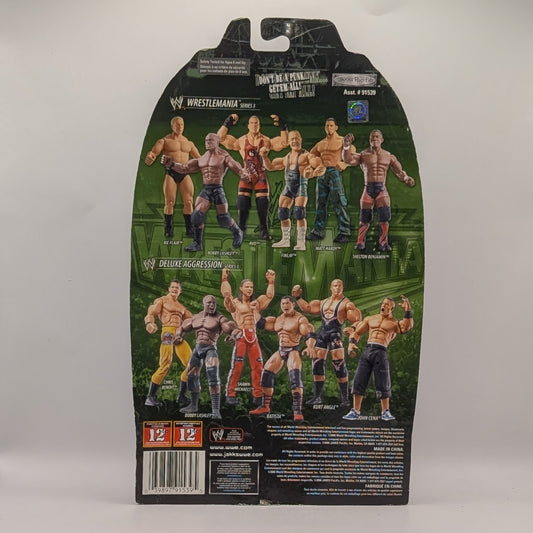 2006 WWE Jakks Pacific Ruthless Aggression Road to WrestleMania 22 Series 3 Ric Flair