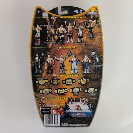 2005 WWE Jakks Pacific Ruthless Aggression Series 17 Hardcore Holly