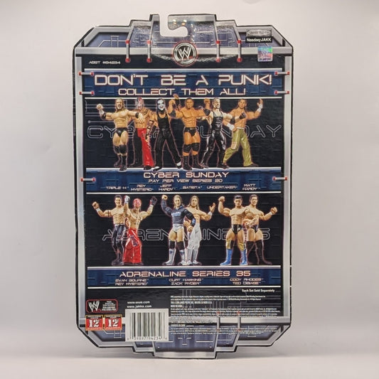 2009 WWE Jakks Pacific Ruthless Aggression Pay Per View Series 20 "Cyber Sunday" Jeff Hardy