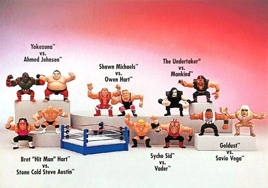 Unreleased WWF Playmates Toys Grudge Match Undertaker