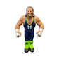 2026 Zombie Sailor's Toys Wrestling's Heels & Faces Limited Edition Brian Myers