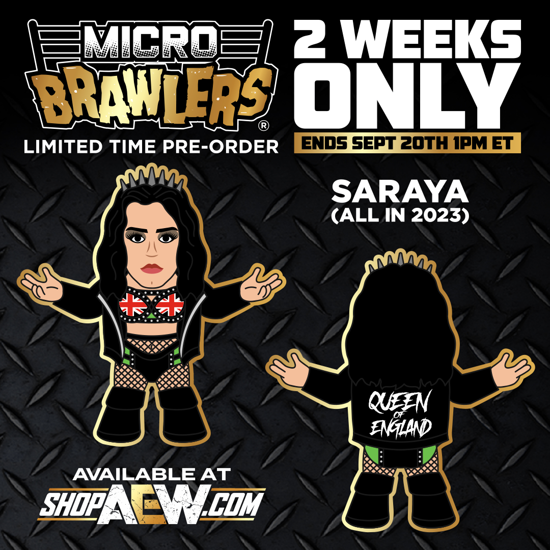 2 Week Pre-Order BAY BAY!!!! New AEW Tag Team Micro Brawlers - MJF