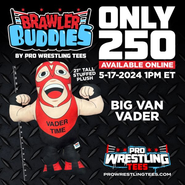 2024 Pro Wrestling Tees Brawler Buddies Vader