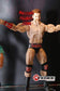 2012 WWE Mattel Elite Collection Series 17 Sheamus