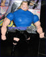 Unreleased WWE Jakks Pacific Power Pumpin' Punchers Triple H