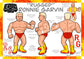 Epic Toys Wrestling Megastars Series 5 Ronnie Garvin