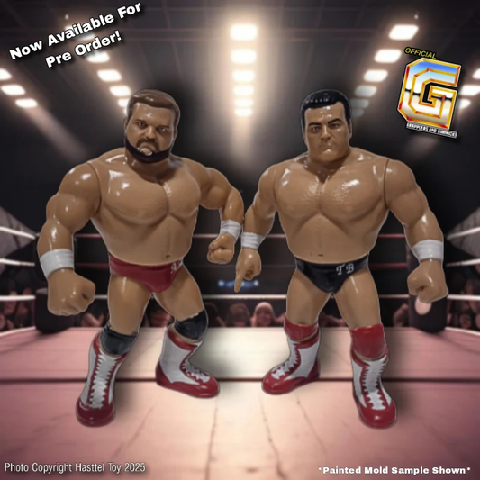 2025 Hasttel Toy Grapplers & Gimmicks Brainbusters: Arn Anderson & Tully Blanchard