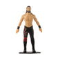 2024 WWE TCG Toys FleXfigs Superstars Series 1 Seth "Freakin" Rollins