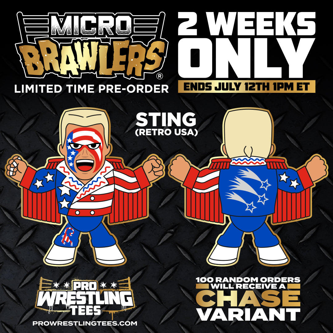 Pro Wrestling Tees AEW Micro Brawlers Sting (Retro USA) Vinyl EXCLUSIVE -  Action Figures & Accessories