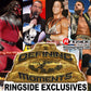 2024 WWE Mattel Ringside Exclusive Defining Moments Rob Van Dam