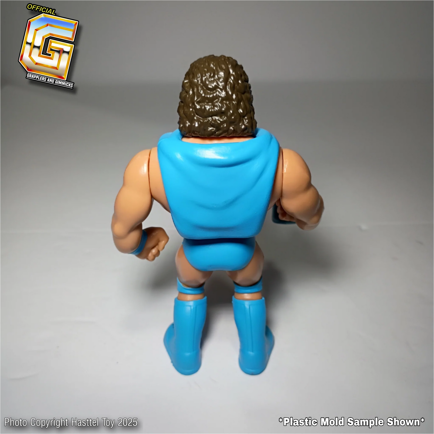 2025 Hasttel Toy Grapplers & Gimmicks Limited Edition Rick "The Model" Martel