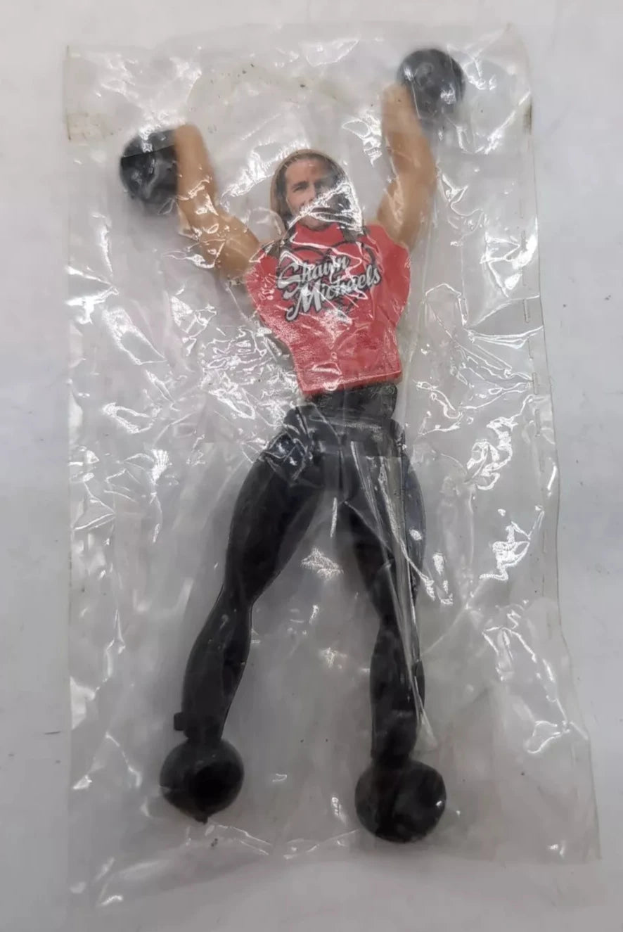 2019 WWE Forever Clever Legends Wall Walkers Shawn Michaels