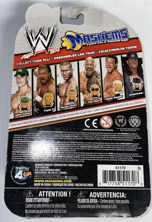 2013 WWE Tech 4 Kids Mash'ems Series 1 2-Pack: Dolph Ziggler & The Rock
