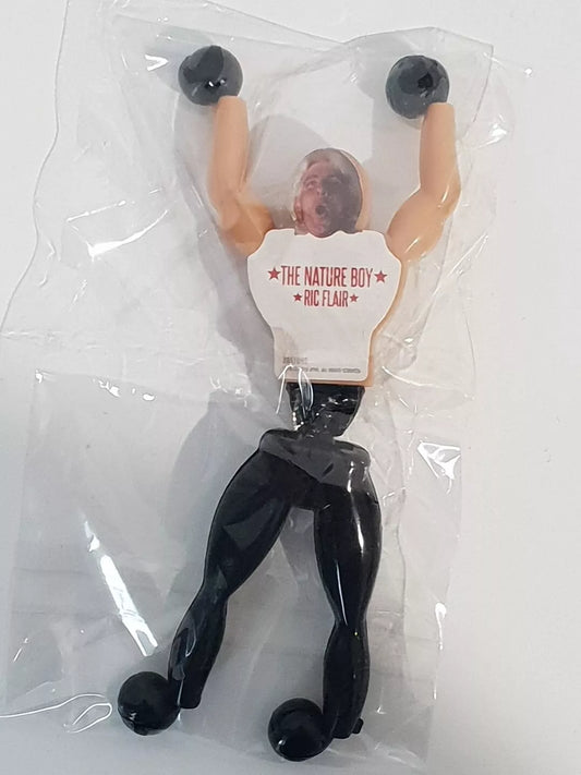 2019 WWE Forever Clever Legends Wall Walkers Ric Flair
