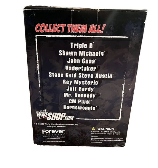 2008 FOCO WWE Shop Exclusive Superstar Bobblehead Jeff Hardy