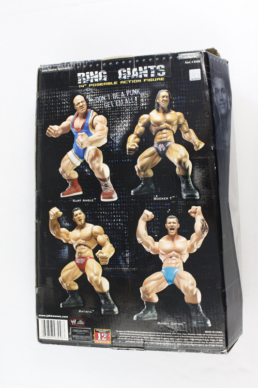 2005 WWE Jakks Pacific Ring Giants Series 2 Randy Orton