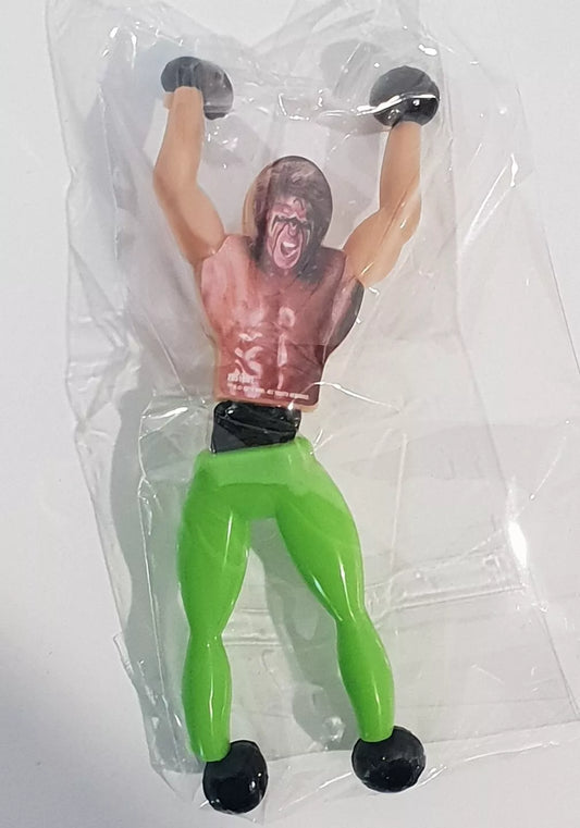 2019 WWE Forever Clever Legends Wall Walkers Ultimate Warrior