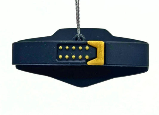 2022 WWE Hallmark Mystery Ornaments WWE Championship