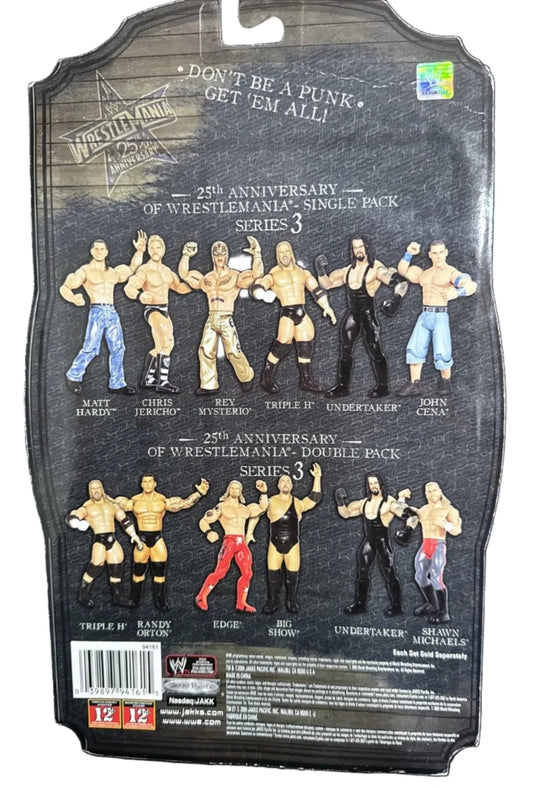 2009 WWE Jakks Pacific Ruthless Aggression WrestleMania 25th Anniversary Series 3 Matt Hardy