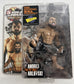 2009 Round 5 World of MMA Champions Series 3 Andrei "The Pit Bull" Arlovski