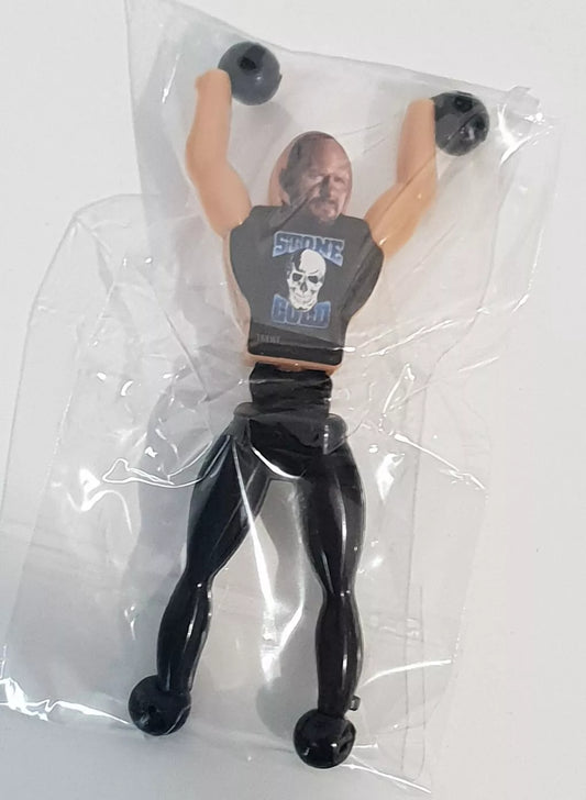 2019 WWE Forever Clever Legends Wall Walkers Stone Cold Steve Austin