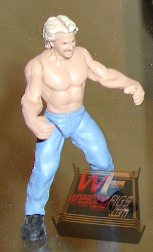 Unreleased TNA Wrestling Jakks Pacific Micro Impact! Jeff Jarrett [With Jeans]