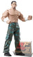 2006 WWE Jakks Pacific Ruthless Aggression Road to WrestleMania 22 Series 3 Matt Hardy