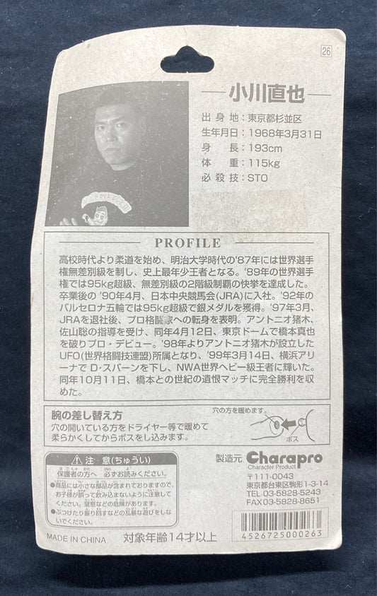 Universal Fighting-Arts Organization CharaPro Basic Naoya Ogawa