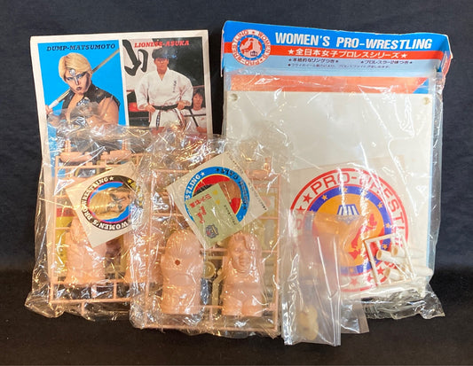 All Japan Women's Pro Wrestling Arii Pro-Wrestling Series Lioness Asuka vs. Dump Matsumoto