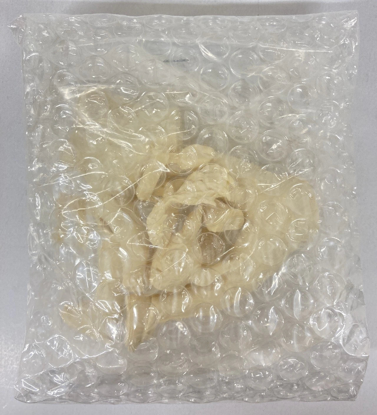 Nanbu Super Junior Fighters No. 1 Jyushin Thunder Lyger 1:10 Scale Cast Kit