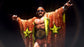 2014 WWE McFarlane Toys "Macho Man" Randy Savage ICON Series Statue