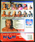1991 WCW Galoob Series 2 UK Exclusive Lex Luger