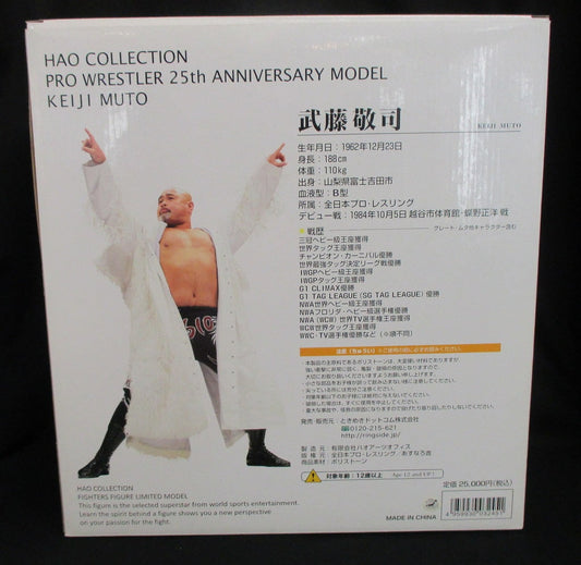 2009 AJPW HAO Collection Pro Wrestler 25th Anniversary Model Keiji Muto